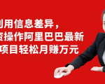 利用信息差异,零投资操作阿里巴巴最新管道项目轻松月赚10000+_微雨项目网