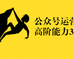 公众号运营高阶能力35讲,从月薪3k到月薪30k,新媒体人的必修课_微雨项目网