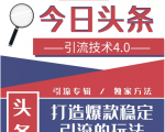 今日头条引流技术4.0,微头条实战细节,微头条引流核心技巧分析,快速发布引流玩法_微雨项目网