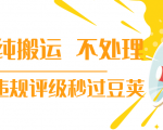 抖音纯搬运 不处理 小技巧,30秒发一个作品,避免违规评级秒过豆荚_微雨项目网