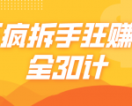 三疯拆手狂赚计,全30计课程_微雨项目网