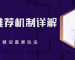 B站推荐机制详解，利用推荐系统反哺自身，视频关键词霸屏玩法（共2节视频）_微雨项目网