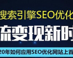 SEO搜索引擎优化总监实战VIP课堂【透析2020最新案例】快速实现年新30W_微雨项目网