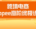 2020跨境电商蓝海新机会-SHOPEE大卖特训营:高阶终极课程(16节课)_微雨项目网