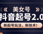 美女起号2.0玩法,用pr直接套模板,做到极速起号!(全套课程资料)_微雨项目网