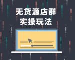 无货源店群实操玩法,蓝海选品的独特思路,店群软件操作方法(45节视频课)_微雨项目网
