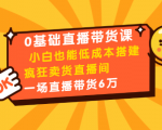0基础直播带货课:小白也能低成本搭建疯狂卖货直播间:1场直播带货6万_微雨项目网