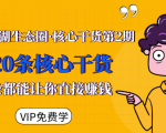 莫问江湖生态圈·核心干货第2期,20条核心干货,每一条都能让你直接赚钱_微雨项目网