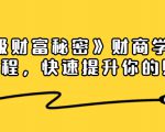 《终极财富秘密》财商学习必修课程,快速提升你的财富(18节视频课)_微雨项目网