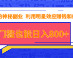 抖音上神秘副业项目,利用明星效应赚钱和截流,无门槛也能日入800+_微雨项目网