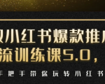 小红书爆款推广引流训练课5.0，手把手带你玩转小红书（17节实操视频+话术）_微雨项目网