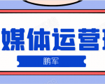 鹏哥自媒体运营班、宝妈兼职,也能月入2W,重磅推荐!【价值899元】_微雨项目网