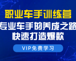 职业车手训练营:专业车手的养成之路,快速打造爆款(8节-无水印直播课)_微雨项目网