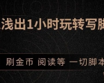引流脚本实战课:1小时深入浅出视频实操讲解,教你0基础学会写引流脚本_微雨项目网