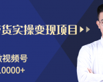 柚子分享课:微信视频号变现攻略,新手零基础轻松日赚千元_微雨项目网