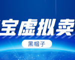 黑帽子淘宝虚拟卖货项目，单店每月收入5000+_微雨项目网
