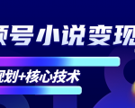 柚子微信视频号小说变现项目,全新玩法零基础也能月入10000+【核心技术】_微雨项目网