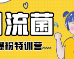 引流菌2020全网爆粉特训营(QQ群霸屏,知乎引流,群裂变,自动化引流等)_微雨项目网