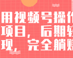 视频号操作书单变现项目，后期轻松变现，完全躺赚日入300至500元_微雨项目网