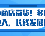 微信小商店带货,爆单多倍收入,长期复利循环!日赚300-800元不等_微雨项目网