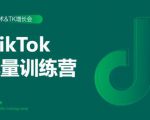 2020最新TikTok流量增长训练营(完结)附PPT_微雨项目网