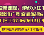 狼叔小红书爆款推广引流训练课6.0，手把手带你玩转小红书_微雨项目网