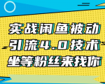 实战闲鱼被动引流4.0技术,坐等粉丝来找你,实操演示日加200+精准粉_微雨项目网