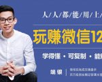 玩赚微信12招:这样玩微信,没钱没人脉也能在家多赚10万_微雨项目网