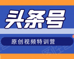 头条号原创视频特训营:一对一带你玩转短视频,新号10天日收益破252元_微雨项目网