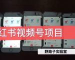 野路子小红书视频号1.0项目，直接上手操作就能赚钱的视频号项目_微雨项目网