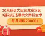 30天疯卖文案速成变现营,0基础玩透爆卖文案捞金术!每月增收20000+_微雨项目网