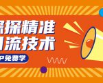 探探精准引流技术:探探上模拟器+探探做号方法+模拟器话术+视频演示_微雨项目网