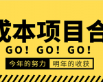 低成本零成本项目合集:赚钱快的慢的、暴利的,线上线下的,价值万元资料_微雨项目网