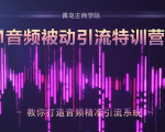 黄岛主·FM音频引流特训营2.0：独家引流模式，单账号50W+播放量，轻松变现_微雨项目网