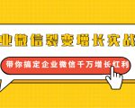 企业微信裂变增长实战课:带你搞定企业微信千万增长红利,新流量-新玩法_微雨项目网