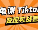龟课·TikTok变现实战训练营线上第1期,多种变现模式,轻松赚美刀_微雨项目网
