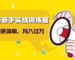 视频号新手实战训练营，让变现更简单，玩赚视频号，轻松月入过万_微雨项目网