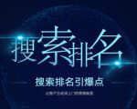 搜索排名引爆点:教你快速掌握各个搜索引擎排名算法,让客户主动找上你的秘笈_微雨项目网