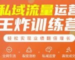 私域流量运营王炸训练营：全网引流+裂变涨粉+私域运营+高效成交_微雨项目网
