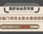 暴利偏门项目全套合集视频教程:你要的日赚1000+月入几万+项目都有_微雨项目网