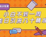 清和行记引流训练营:小白不到一周便能日引流几十精准粉_微雨项目网