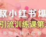 狼叔小红书爆款推广引流训练课第12期,手把手带你玩转小红书_微雨项目网