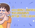 2021新风口-拼多多虚拟店：可多店批量操作，每个店一天收入在200-1000_微雨项目网