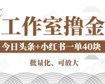 工作室撸金二件套:撸今日头条原创收益+小红书一单利润40块项目_微雨项目网