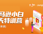 雨课·亚马逊小白特训营第9期 跨境电商挺赚钱的 有朋友已经月入几十万美金_微雨项目网
