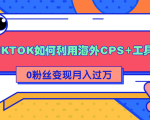 详细解析TIKTOK如何利用海外CPS+工具0粉丝轻松变现月入过万_微雨项目网