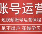 短视频账号运营课程:从话术到短视频运营再到直播带货全流程,新人快速入门_微雨项目网