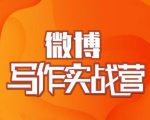 村西边老王·微博超级写作实战营,帮助你粉丝猛涨价值999元_微雨项目网