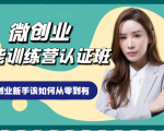微创业全能训练营认证班课程，从理论知识与实际案例手把手指导创业新手如何从零到有_微雨项目网