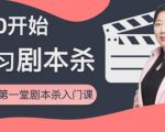 红娘子·从0开始学习剧本杀,你的第一堂剧本杀入门课 简单易懂 市场需求大_微雨项目网